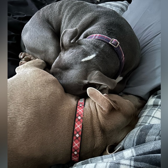 Meet your Posher, Debbie - Picture 4 of 6